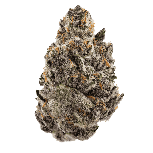 Gelato 41