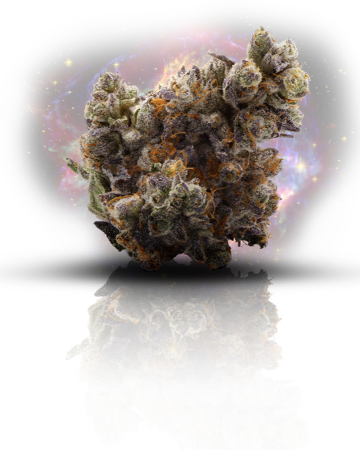 Gelato 42