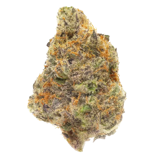 Lemon Cherry Gelato