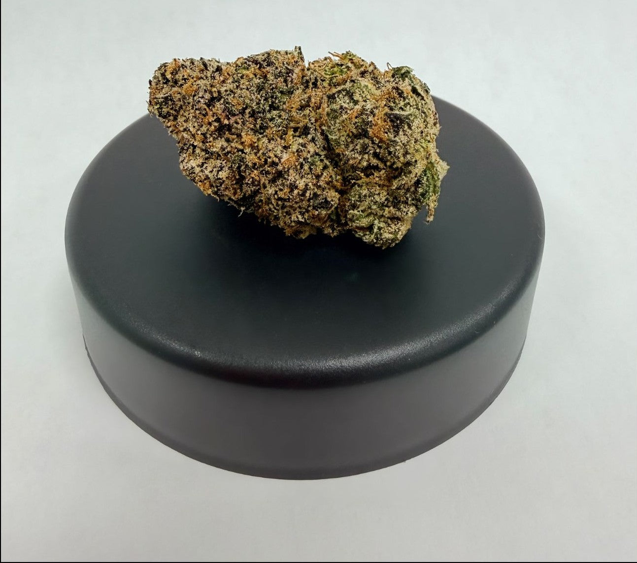 Bubble Gum Gelato